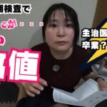 【２型糖尿病】７月の定期検査。