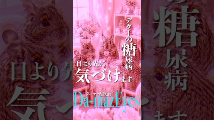 デグーの糖尿病、目より先に気づけます
