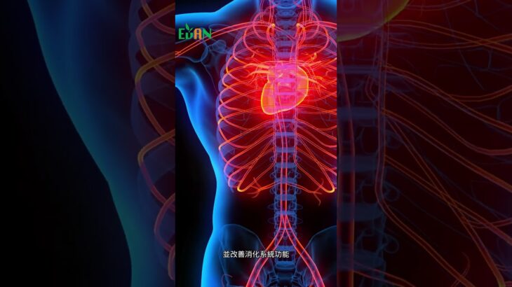 足夠的抗性澱粉有助於預防糖尿病、降低心血管疾病風險#艾門享受健康計畫 #飲食計畫 #減肥 #瘦身 #健康  #蔬果漾 #優菌多 #亮妍肌漾