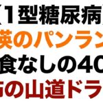【１型糖尿病】美瑛の美食を堪能＆補食を忘れた恐怖のドライブ