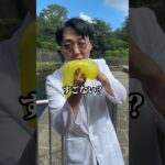糖尿病になりたくない人は運動いつやるかが重要やで
