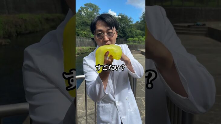 糖尿病になりたくない人は運動いつやるかが重要やで