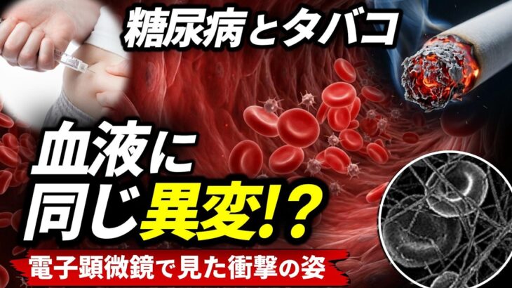 糖尿病とタバコに共通する「傷が治りにくい理由」とは【電子顕微鏡】