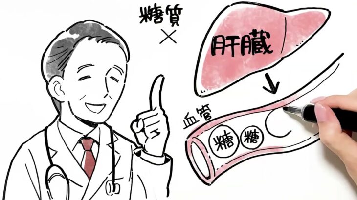 「最近、なんだかおかしい…」見過ごしていた体のサイン｜糖尿病のお話（お絵かきムービー®︎）