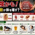 ⚠️ その「ぽっこりお腹」、危険かも？内臓脂肪が招く糖尿病・心筋梗塞・脳卒中のリスク