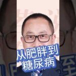 从肥胖到糖尿病肥胖糖尿病高架救猫教授健康科普健康管理
