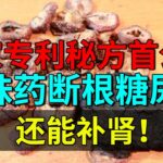 国家专利降糖秘方首公开，三味药断根糖尿病，还能补肾！【养生堂】