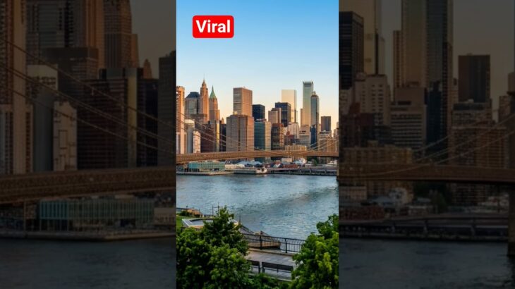 viral video #funny #ameazing #cute #midjourney #roblox #pfrank #nft #sp #sleeplessnight #getsleepy