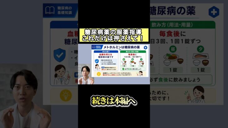 【薬剤師1年目必見】これだけは押さえて！糖尿病薬(メトホルミン)の服薬指導