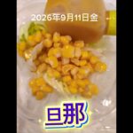 #糖尿病弁当#旦那弁当#時短10分#レモン香味焼き豚肉ロースステーキ弁当#shorts
