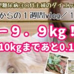 15.【-9.9kg】-10kg達成までカウントダウン開始｜2型糖尿病｜体重公開｜ダイエットvlog｜主婦vlog｜レコーディングダイエット｜11週目