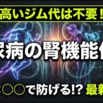 【2026年最新論文】透析リスクを激減させる！糖尿病の腎臓を守る魔法の「〇〇×〇〇」運動プログラム