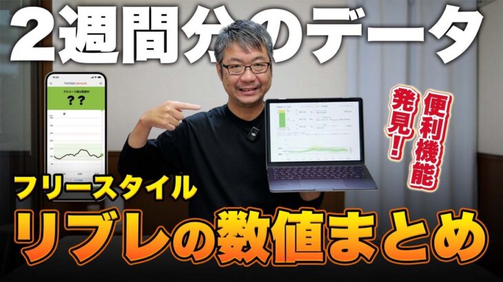 【糖尿病の血糖値管理】フリースタイルリブレ2週間データをPCでグラフ化したら凄かった！