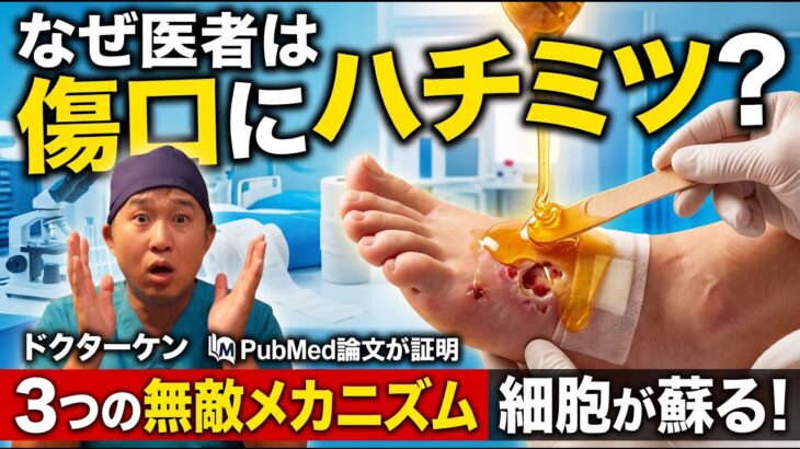 【糖尿病】なぜ医者は傷口にハチミツを塗るのか？細胞を蘇らせる3つの「無敵メカニズム」　＃糖尿病　＃足潰瘍　＃糖尿病性壊疽　＃ハチミツ　＃医療　＃ドクターケン