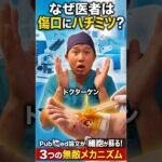 なぜ医者は傷口にハチミツを塗るのか？細胞を蘇らせる3つの「無敵メカニズム」　＃糖尿病　＃足壊疽　＃足潰瘍　＃医療用ハチミツ　＃ドクターケン
