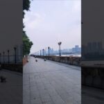 可惜我已经妊娠糖尿病，啊啊啊，前阵子还每天一个，连吃3天西瓜