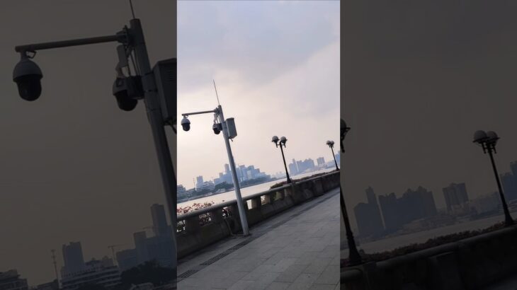 可惜我已经妊娠糖尿病，啊啊啊，前阵子还每天一个，连吃3天西瓜