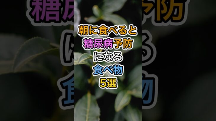 朝に食べると糖尿病予防になる食べ物5選#健康 #雑学 #医療 #予防医療 #糖尿病