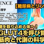 さとう式リンパケア・サイエンス74話『糖尿病とリンパケア』 Episode 74: Diabetes and Lymphatic Care