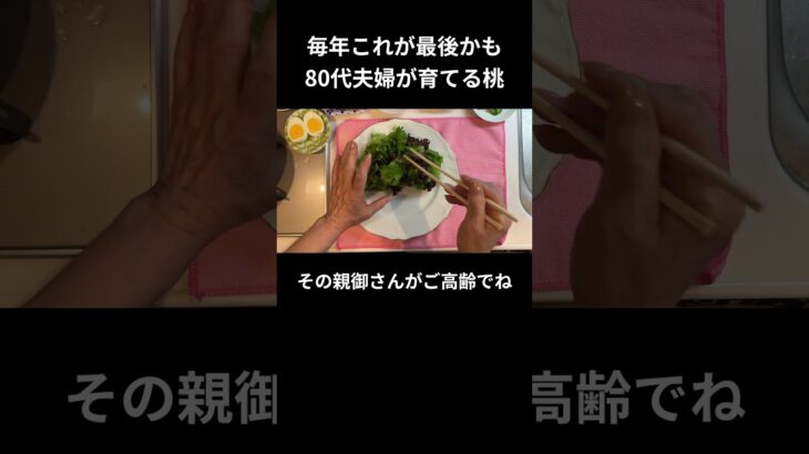 80代夫婦が育てる桃【糖尿病の食事】 #料理 #糖尿病 #日常