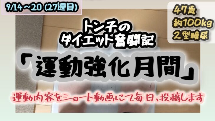【糖尿病】トン子のダイエット奮闘記㉗【体重98.6k/脂47.7】