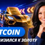 Bitcoin = цифровое золото, ульи-NFT на Solana и арабские миллиарды Трампа
