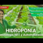 🔴 CURSO: HIDROPONÍA: TECNOLOGÍA NFT Y AUTOMATIZACIÓN  ǀ COMPLETO Y GRATIS (2026) ✅ PARTE 1