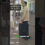 Contrabando NFT en Japón: ¡Gatos que valen una fortuna! #shorts
