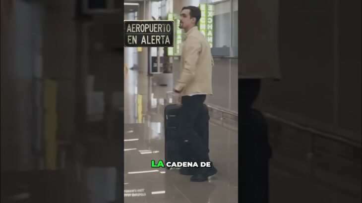 Contrabando NFT en Japón: ¡Gatos que valen una fortuna! #shorts