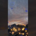 Day 41 🚀 ANON Revenue Share NFT Boost