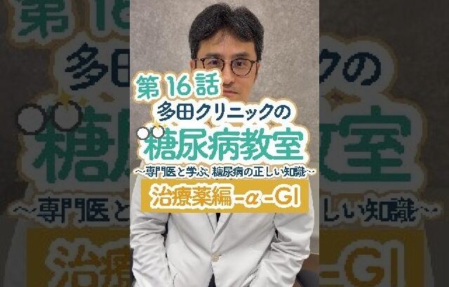 糖尿病教室第１６話　α-GI