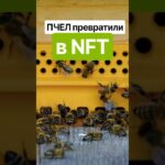 Пчел превратили в NFT! Теперь они приносят доход