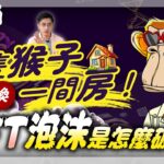 一隻猴子換一間房！NFT 世紀泡沫是怎麼破的？【這次綸到誰 】- EP10 艾綸說
