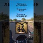 Злая “Чупакабра” – легендарный NFT коллекции странника!  #jekardos #minako
