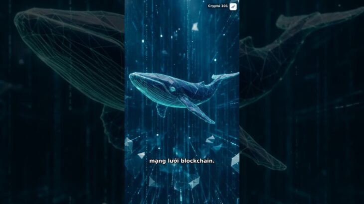NFT là gì? Bạn có đang hiểu lầm về tài sản số này? #Crypto101 #crypto #Shorts