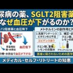 ■糖尿病の薬SGLT2阻害薬で、なぜ血圧が下がるのか？■メトホルミンには、乳酸アシドーシスtとビタミンB12不足のエビデンス■補正には、クエン酸、重曹、レモンの炭酸水、ブラックソルト水、みそ汁が必要