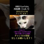 SSW 50歳 闘病 これから這い上がる！【vol.7】 #うつ病 #糖尿病 #ssw #福岡 #バンドマン