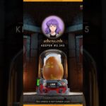 So what exactly is Pocket Dragons? #nft #collectibles
