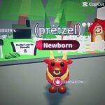 Strictly nft edit