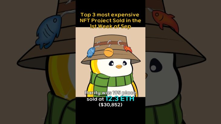 Top 3 most expensive NFT Project sold in the 1st week of Sep #BAYC, #CRYPTOPUNKS, #AZUKI