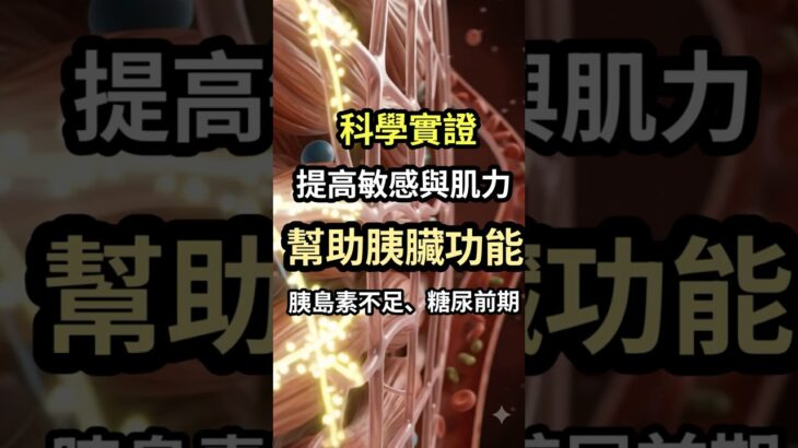 糖尿病只靠控制飲食不夠？研究發現阻力訓練可能幫助β細胞 #阻力訓練 #重量訓練 #糖尿病 #第二型糖尿病 #糖尿病前期 #胰島素 #胰島素阻抗 #homa