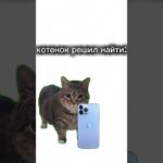 извиняюсь за озвучку # #рек #тг #nft #подарки