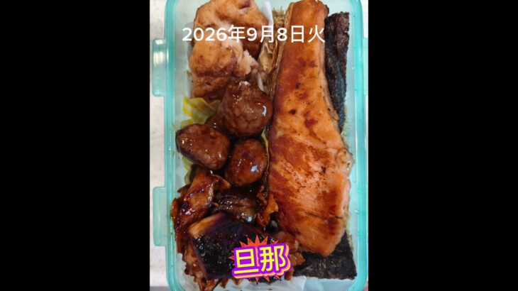 #糖尿病弁当#旦那弁当#おかかのり焼き鮭弁当#shorts