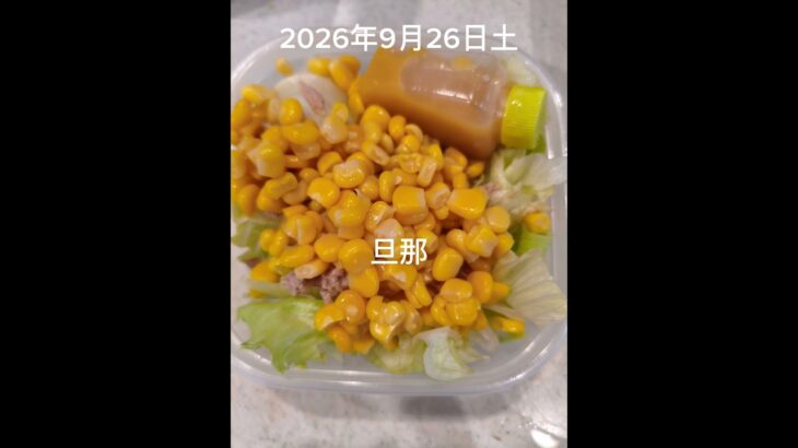#糖尿病弁当#旦那弁当#豚こまとキャベツの焼肉炒め#shorts