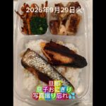#糖尿病弁当#旦那弁当#レモン瀬戸塩味鮭弁#息子おにぎり#shorts
