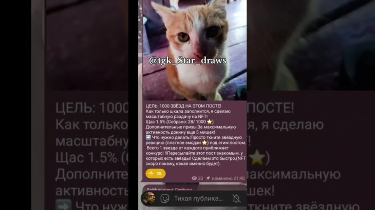 Выкупил для вас ! 🐍 Ищи в поиске ТГ: @tgk_Star_draws 🚀 Успей тыкнуть звезду! #shorts #nft #халява