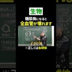 【生物】#糖尿病 になると全血管が壊れる!?!?  #ただよび #生物 #雑学 #血管 #失明 #腎不全