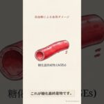なぜ糖尿病だと腱鞘炎が治らないのか
