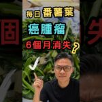 長期食番薯葉消炎，肝腫瘤奇蹟消失？預防糖尿病，大腸癌，慢性炎症，壞膽固醇，保血管。降肝指數，減少脂肪肝 #糖尿病 #大腸癌 #慢性炎症 #壞膽固醇 #脂肪肝