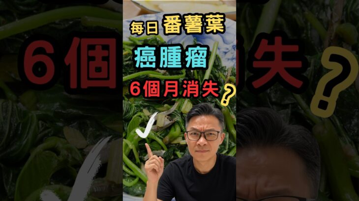 長期食番薯葉消炎，肝腫瘤奇蹟消失？預防糖尿病，大腸癌，慢性炎症，壞膽固醇，保血管。降肝指數，減少脂肪肝 #糖尿病 #大腸癌 #慢性炎症 #壞膽固醇 #脂肪肝